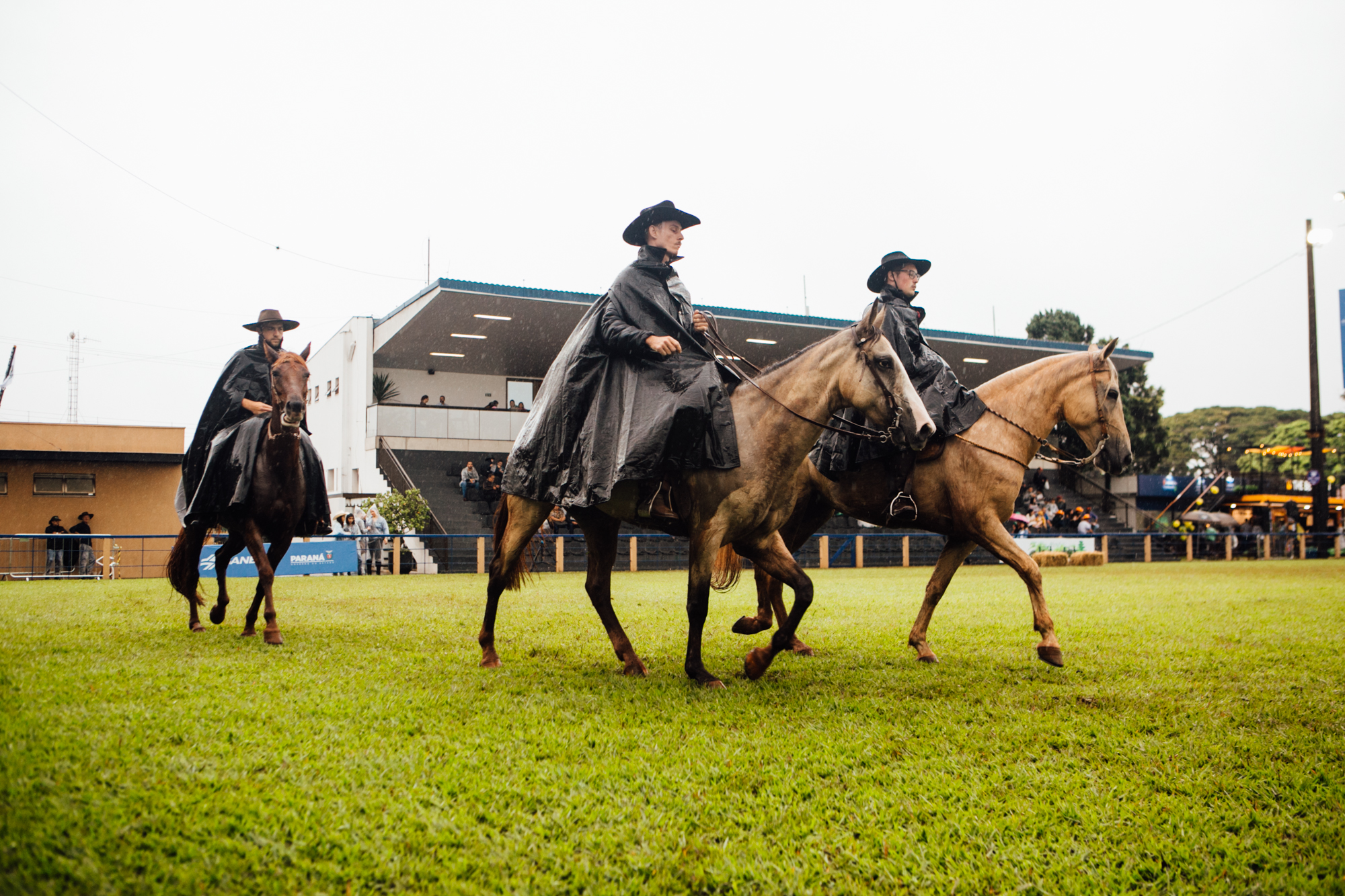 Julgamento avalia cavalos campeiro na ExpoLondrina