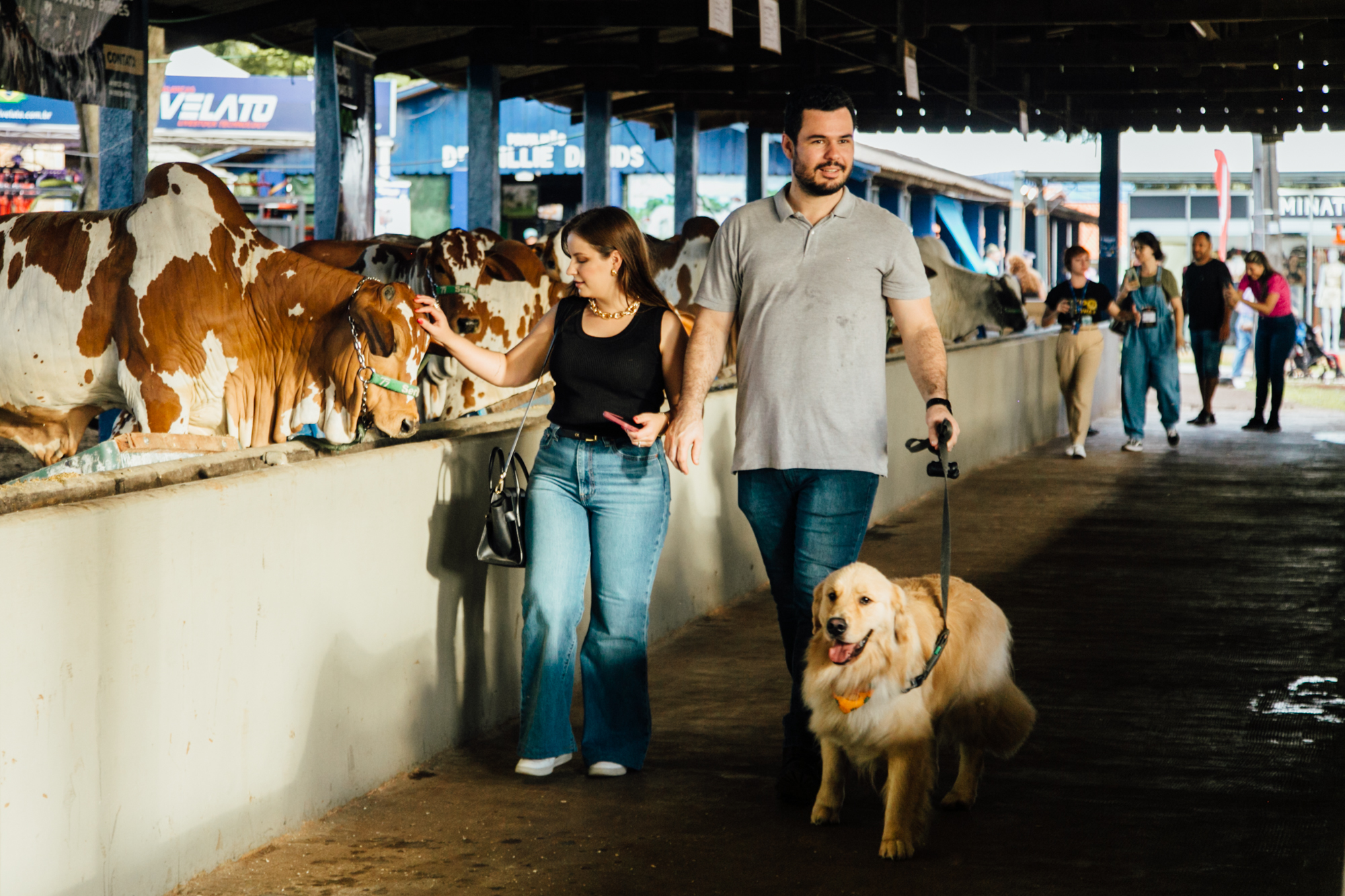 ExpoLondrina pet friendly traz um novo público de quatro patas para circular pelo Parque Ney Braga